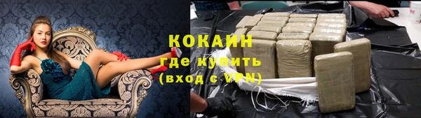 шишки Магадан