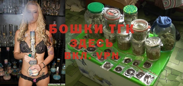 шишки Магадан