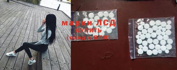 винт Магас