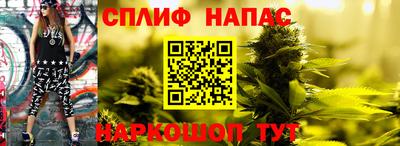 сатива Кандалакша