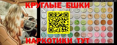 сатива Кандалакша