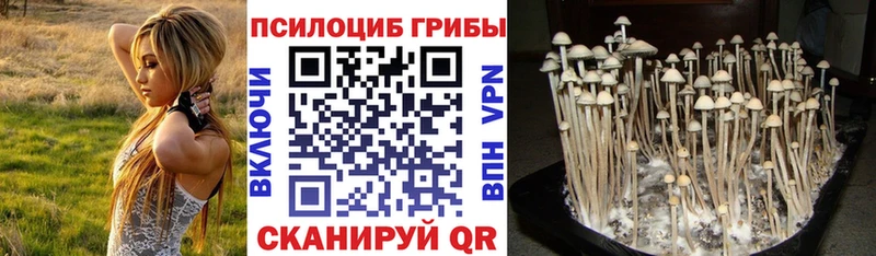 Купить  Новокубанск  Галлюциногенные грибы ЛСД 