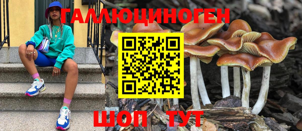 Псилоцибиновые грибы ЛСД  Вход с VPN  Новокубанск 
