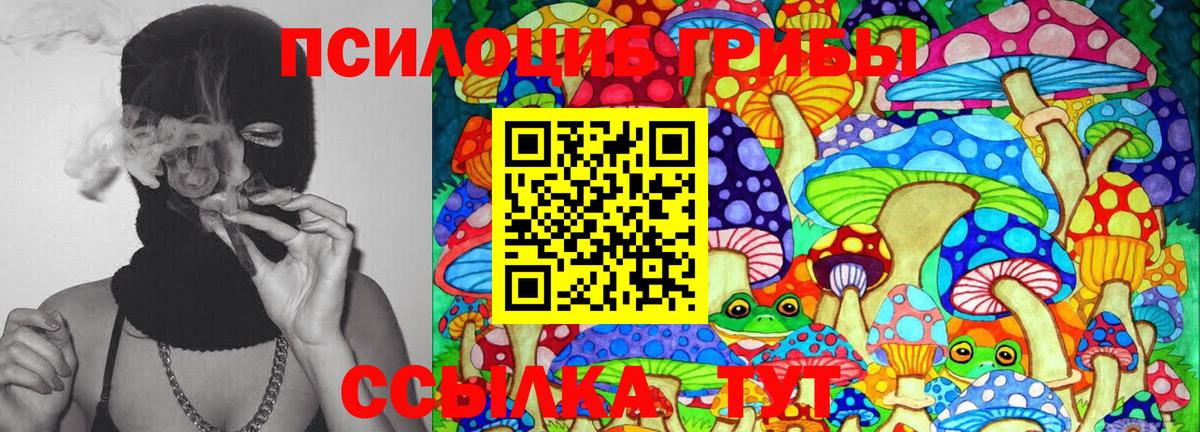 Галлюциногенные грибы Psilocybine cubensis Новокубанск