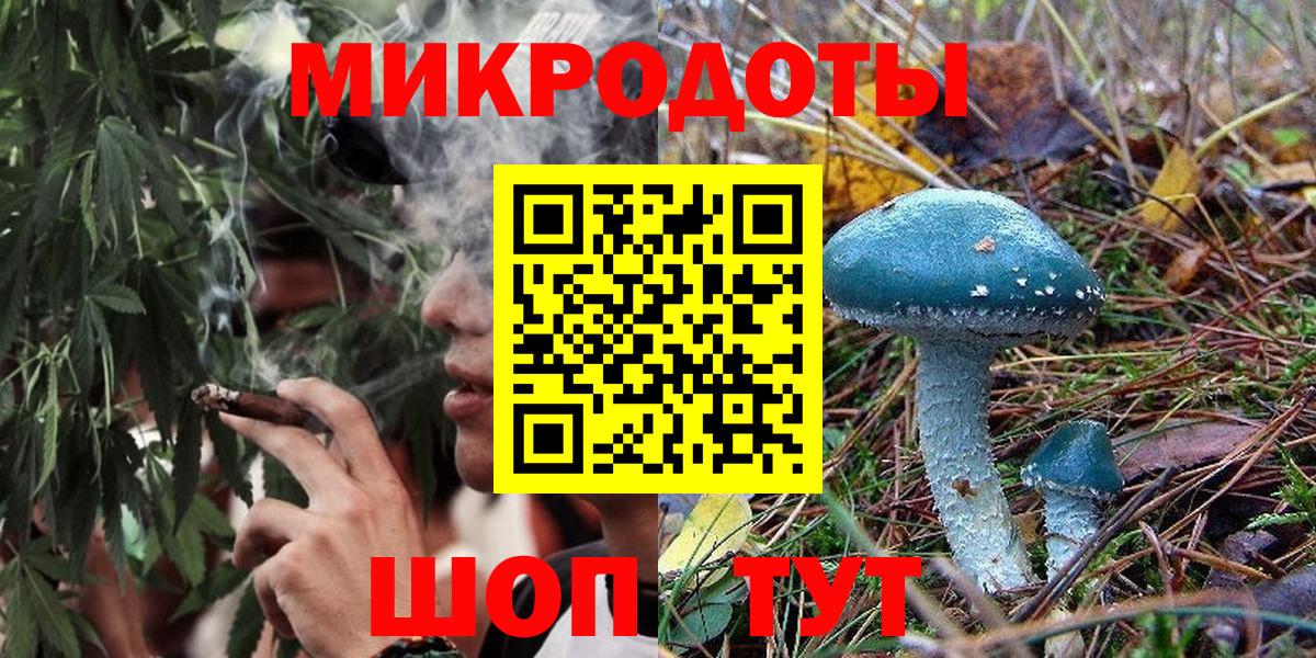Галлюциногенные грибы Psilocybe Новокубанск